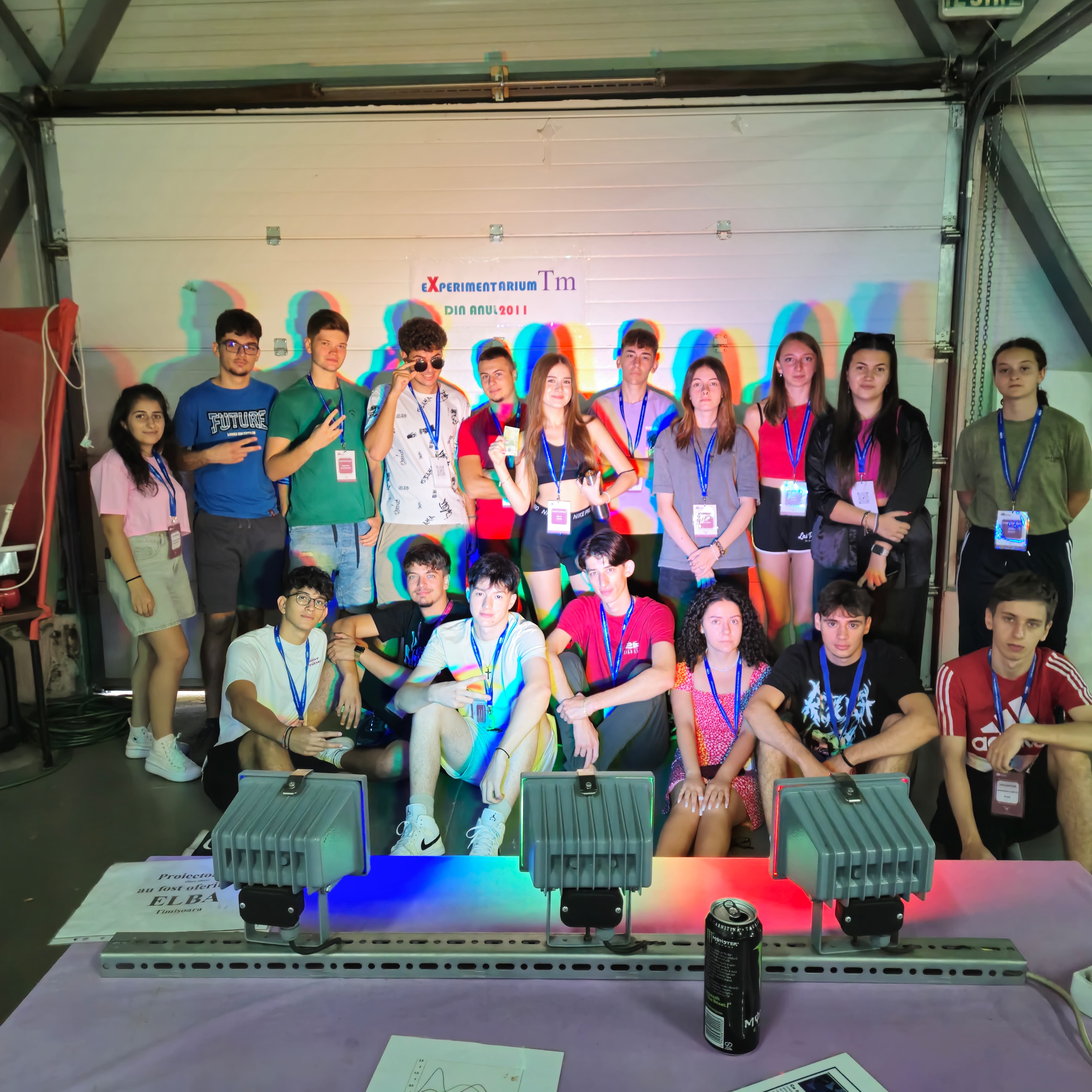 Workshop electronică